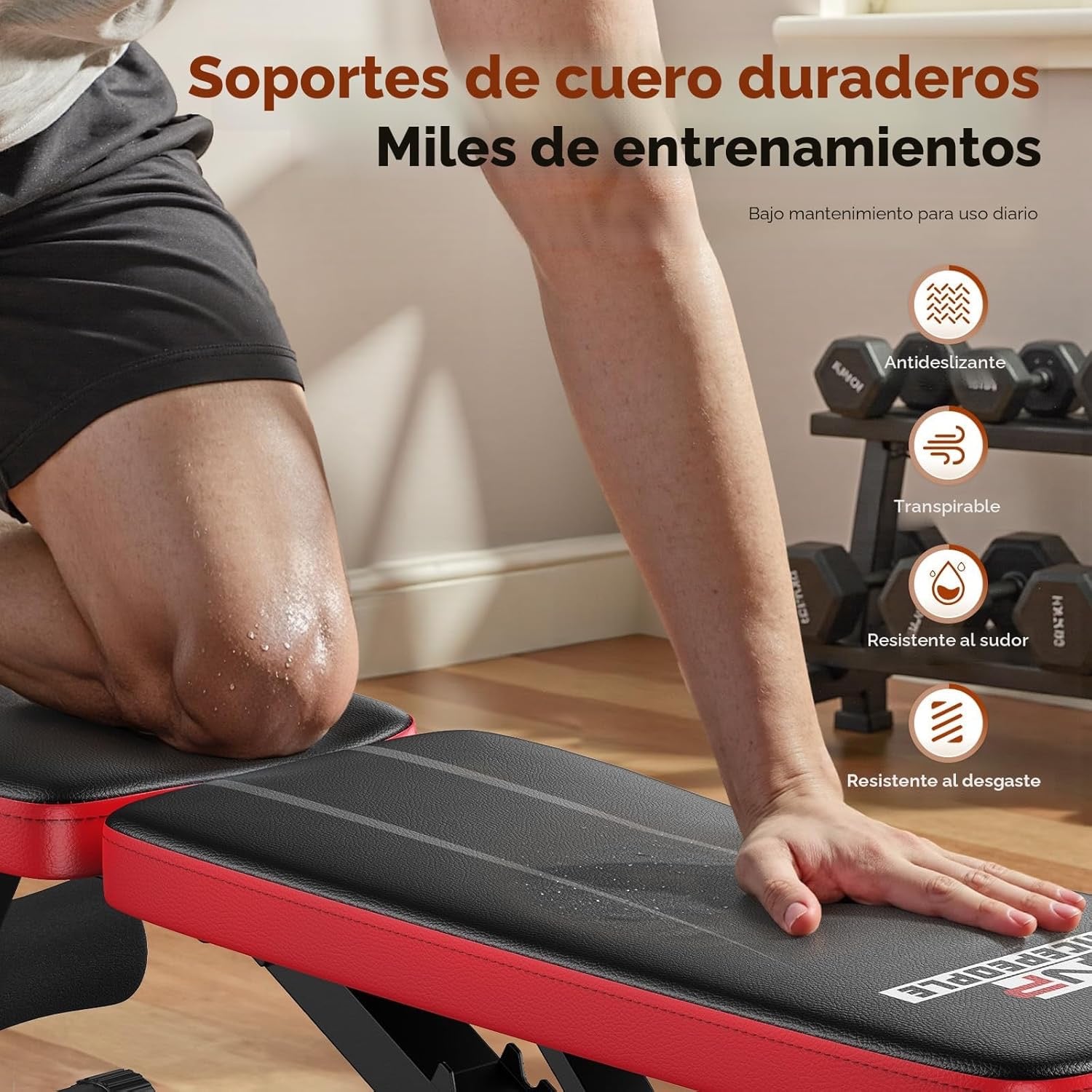 Adjustable Weight Bench for Home Gym – Foldable Workout Bench with 8 Back Positions, Heavy Duty Steel, Full Body Training